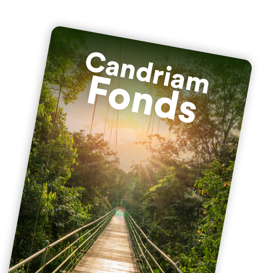 Teaserbild Candriam Fonds